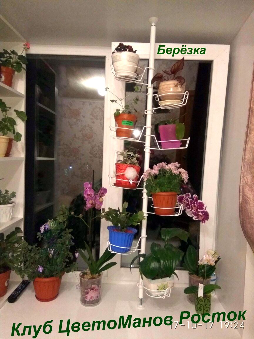 распорка металлическая для растений на окно. Фото N14